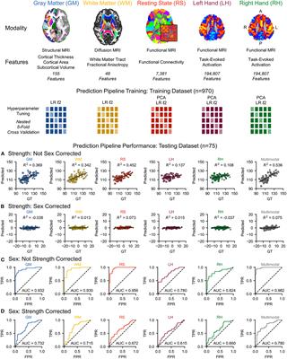 Confounds in neuroimaging: A clear case of sex as a confound in brain-based prediction